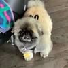 beverly_walsh
